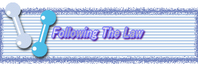 Following The Law
