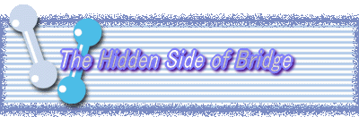 The Hidden Side of Bridge