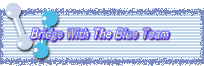 Bridge With The Blue Team