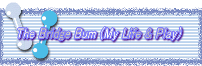 The Bridge Bum (My Life & Play)