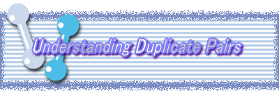 Understanding Duplicate Pairs