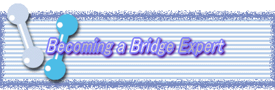 Becoming a Bridge Expert